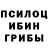 Псилоцибиновые грибы мухоморы garfield yuhev
