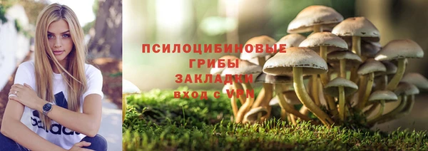 мдма Бородино