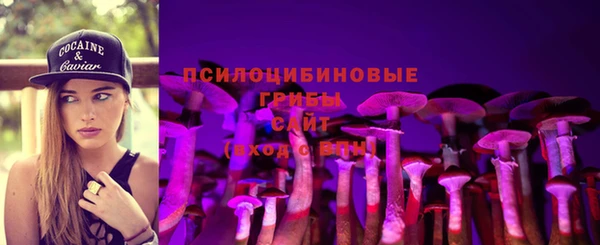 мдма Бородино