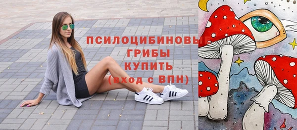 МДПВ Бронницы