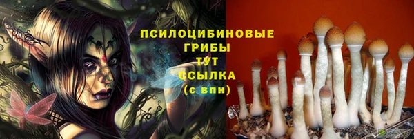 мдма Бородино