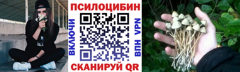 OMG ТОР  Новоузенск  Псилоцибиновые грибы GOLDEN TEACHER 